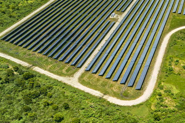 Solar Panel Field Pathway