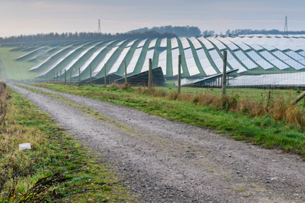 Brush Cleaning Panels