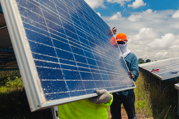 Brush Cleaning Panels