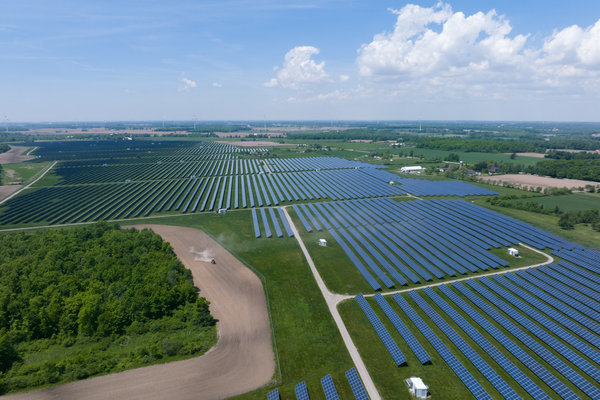 Solar Panel Field Pathway
